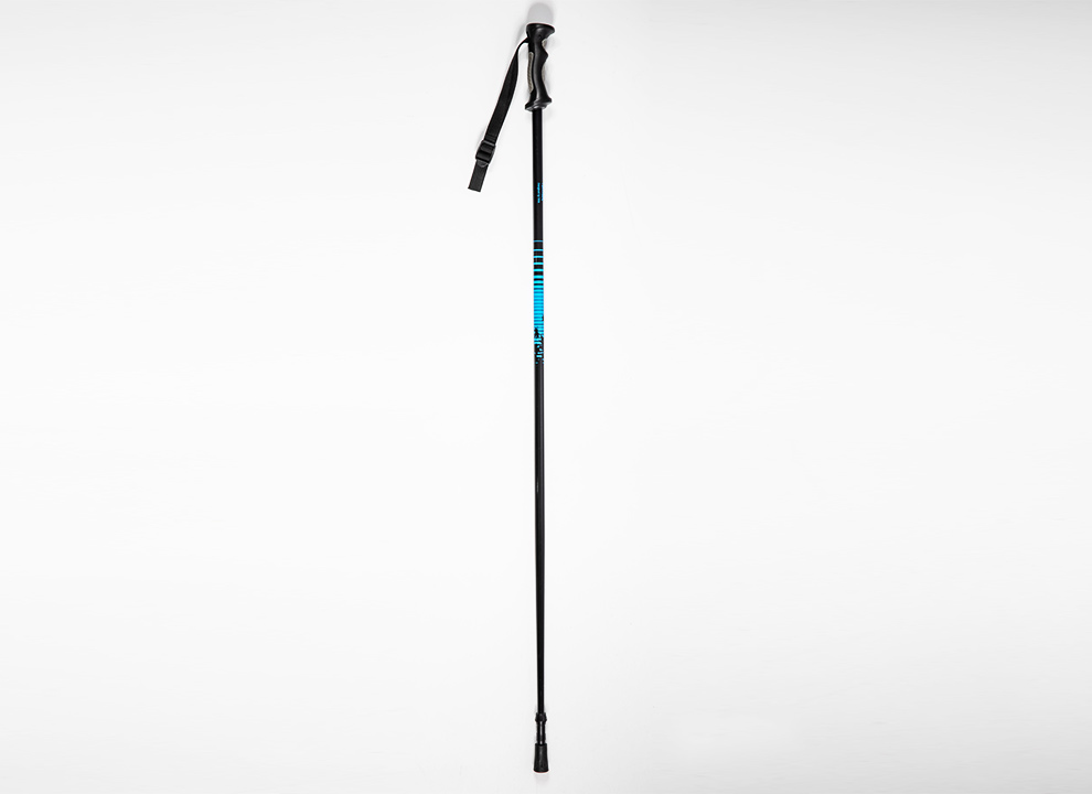 Ski Pole