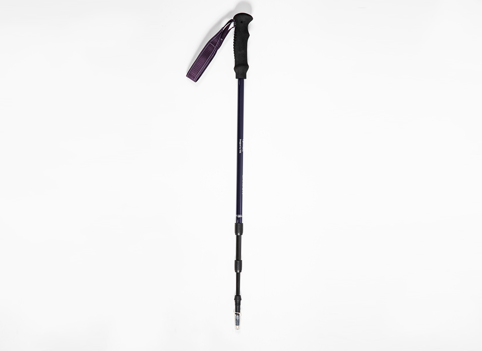 Twist locking Trekking Pole