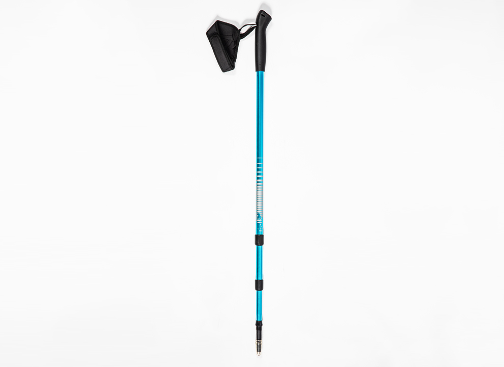 Plastic handle Trekking Pole Blue
