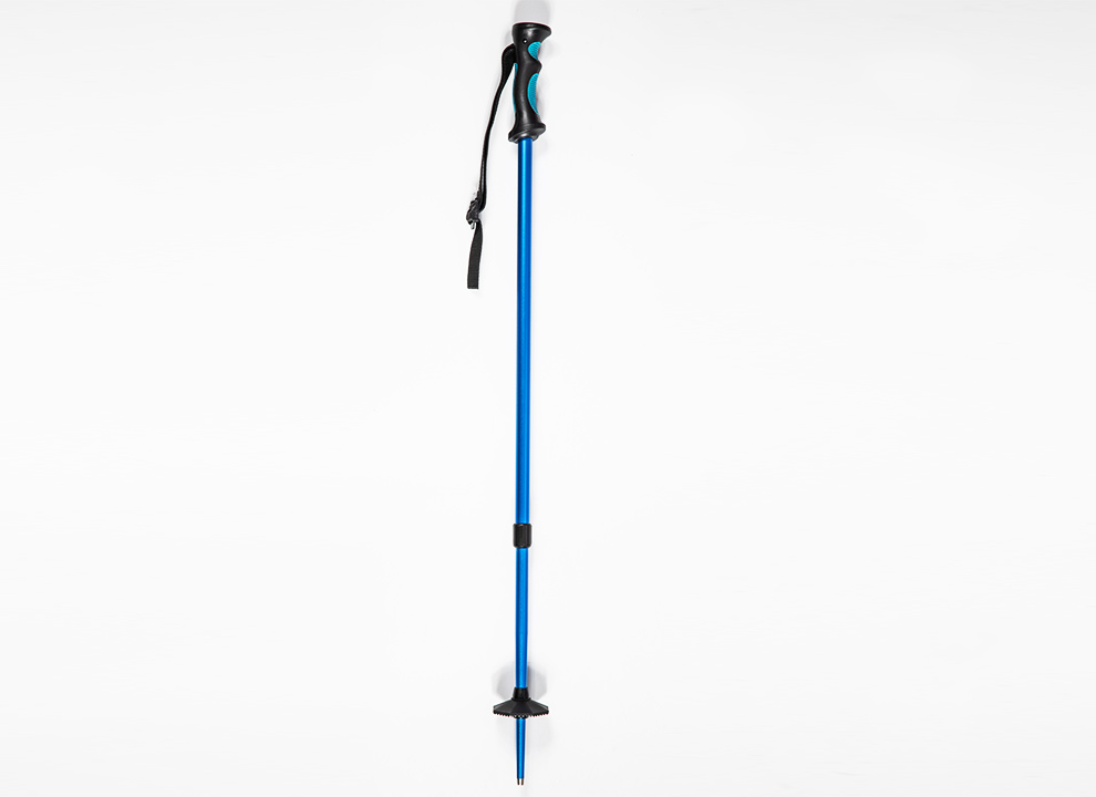 Ski Pole